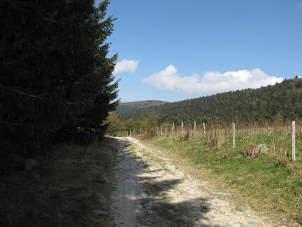 20080926 134109